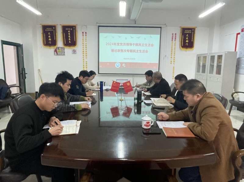 党委书记杨翠明参加指导艺术设计学院（湘瓷学院）党总支2024年度民主生活会